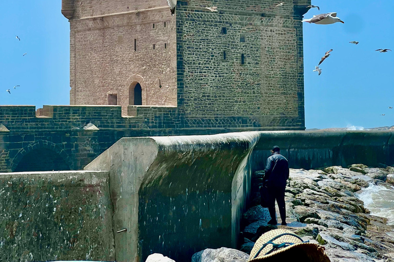 From Marrakech: Essaouira Day Trip with Beach & Medina Essaouira Small Group Day Trip