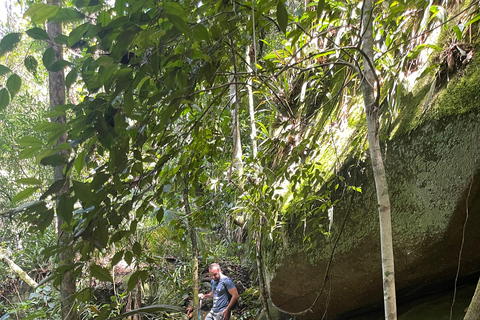 Paraty – Saco Bravo Waterfall Hike