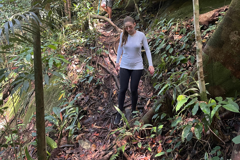 Paraty – Saco Bravo Waterfall Hike