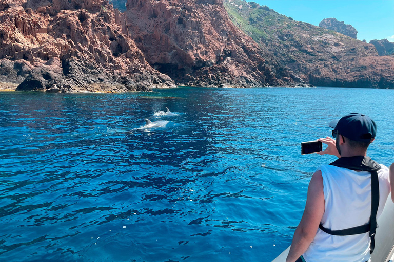 Från Cargèse : Calanques i Piana