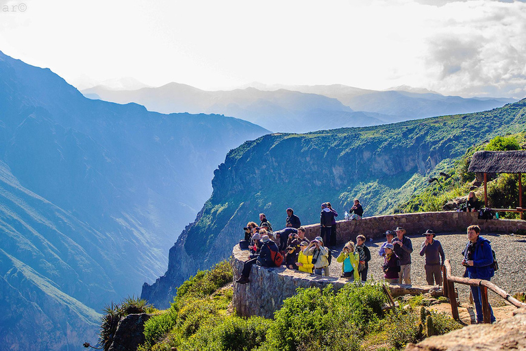 Arequipa: 3-Day Colca Canyon Trekking Tour