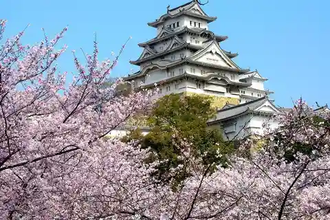 Osaka Castle Ticket with Private Transfer