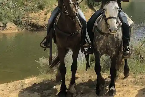 Franschhoek: Half Day Horse Trail and Wine Tasting
