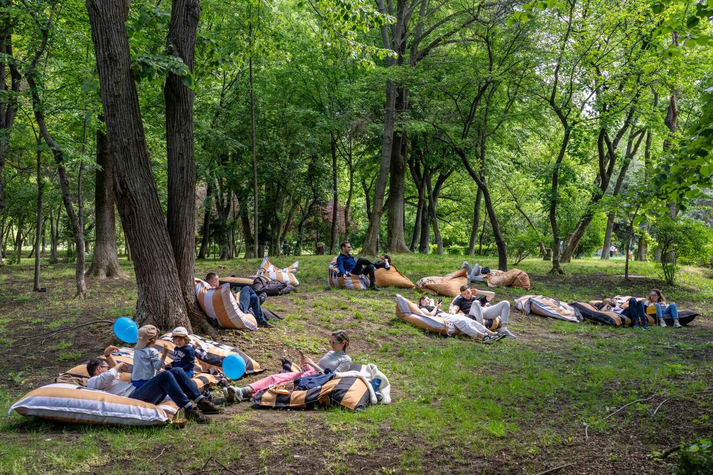 Bucharest Street Food Experience