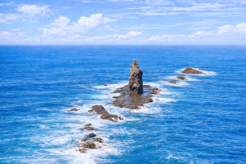 Sapporo: Otaru, Cape Kamui, and Blue Cave Summer Special 8;00 am meet at Odori Park subway station exit 31