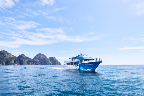 Seward: Resurrection Bay Half-Day Sightseeing Cruise