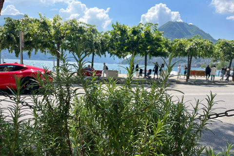 From Como: Bellagio and Lugano Tour with Lake Como Cruise