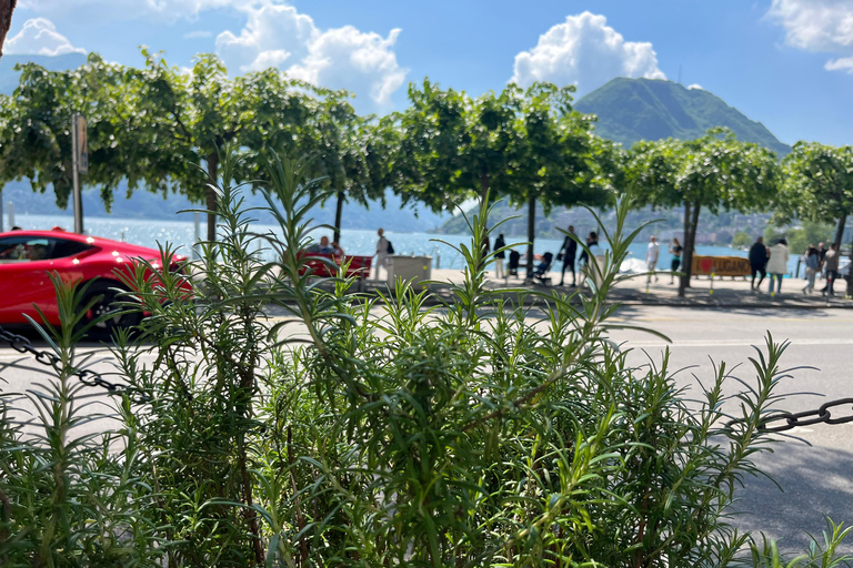 From Como: Bellagio and Lugano Tour with Lake Como Cruise