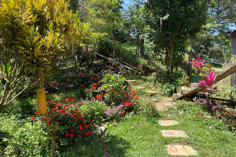 Medellín: Cacao Farm Private Guided Tour