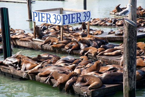 San Francisco City Tour with Bay Cruise Option City Tour with Bay Cruise