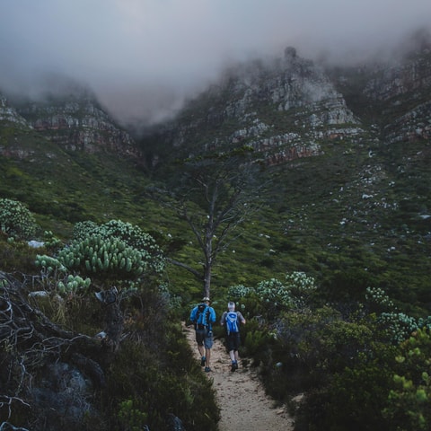 Table Mountain: Skeleton Gorge Hike