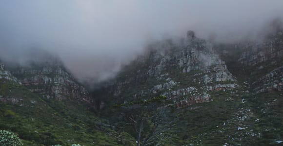 Table Mountain: Skeleton Gorge Hike