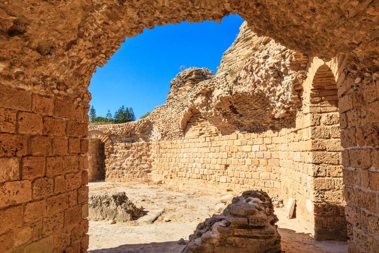 From Hammamet: Carthage, Sidi Bou Said, & Tunis Day Trip