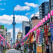 From Tokyo : Private Full-Day City Tour with Hotel Pick-up