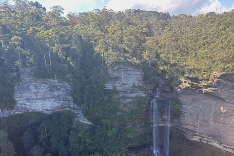 Blue Mountains Tour w/Lunch: Scenic World, Zoo & Koala Photo