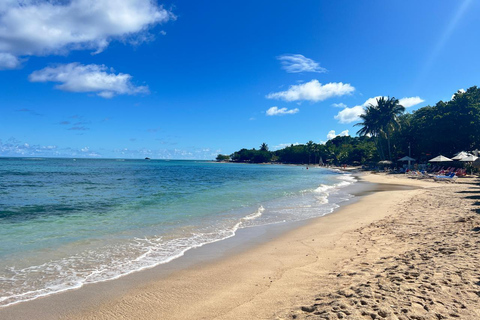 Puerto Plata: Off-Road Buggy through the Jungle and Colorful Streets