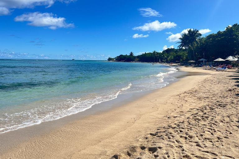 Puerto Plata: Off-Road Buggy through the Jungle and Colorful Streets