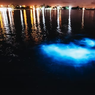 From San Juan: La Parguera Glowing Bio Bay Boat Tour