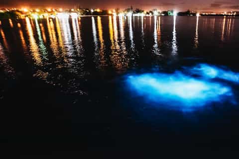 San Juan Die BESTEN Sehenswürdigkeiten und Aktivitäten 2022