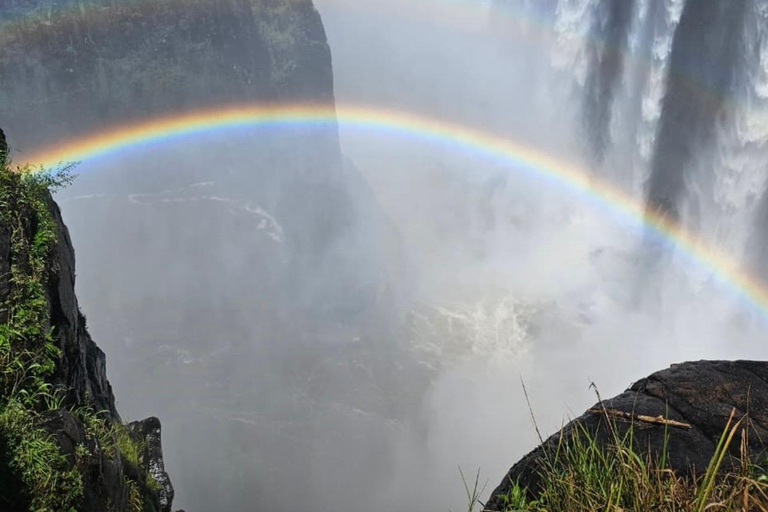 Victoria Falls: Guided Tour with Rainforest Walk