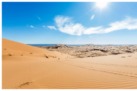 Doha - Öken Ökensafari med kamelridning och sandboarding