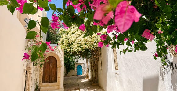 Departing from Djerba: Half-Day Djerba Discovery
