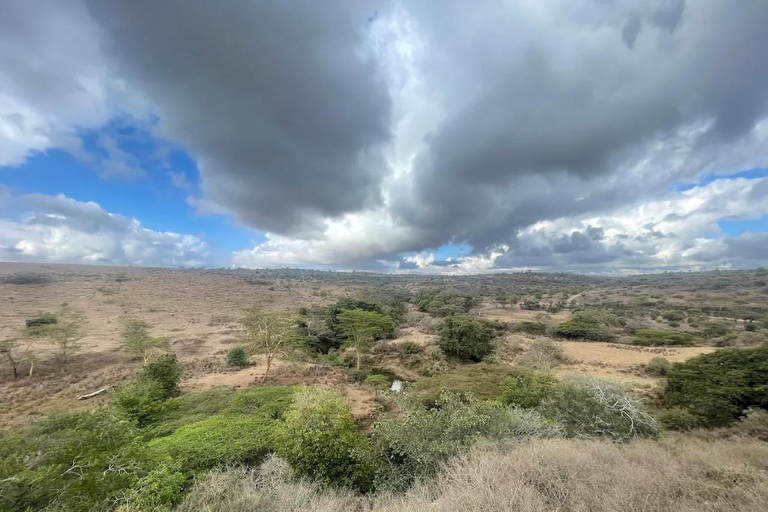 Nairobi National Park Luxury Picnic Game Drive