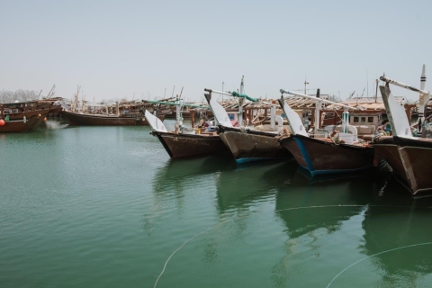 Doha: Prywatna wycieczka na północ Kataru, Fort Zubara i lasy namorzynowe