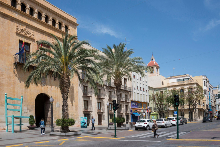 From Alicante: Elche Half-Day of Palms, History & Heritage