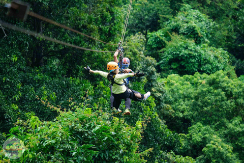 From Koh Samui: Tree Bridge Zipline and Café Experience
