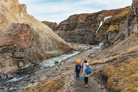 Reykjavik: Silver Circle, Canyon Baths i Waterfalls Tour