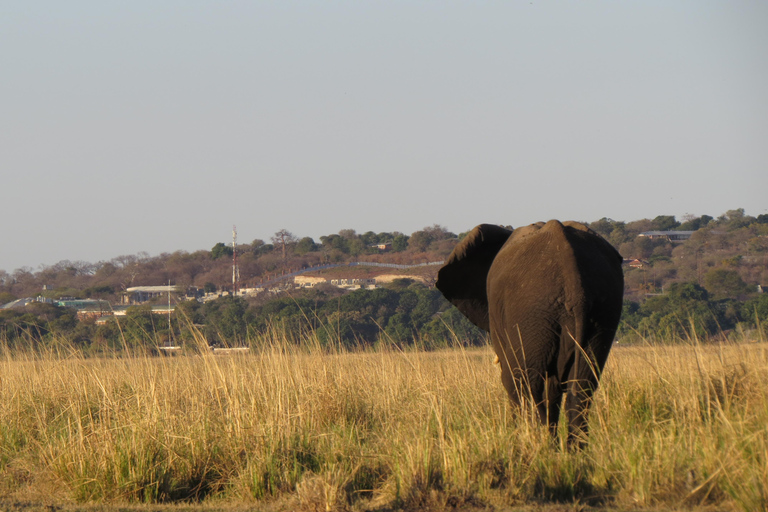 Victoria Falls: 2-Day Safari & Stargazing Experience
