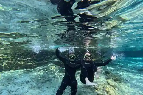 Crystal River: тур по сноркелингу в Спрингс