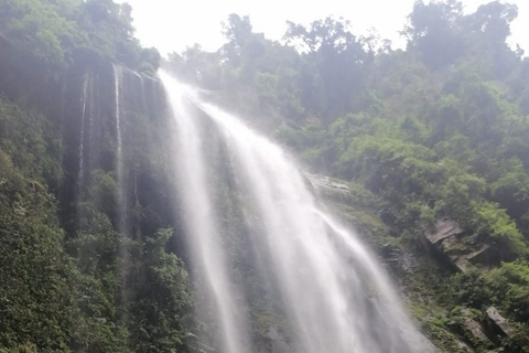 Bogotá: La Chorrera Waterfall Yoga and Forest Bathing