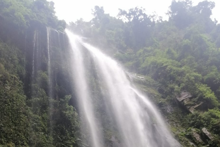 Bogotá: La Chorrera Waterfall Yoga and Forest Bathing