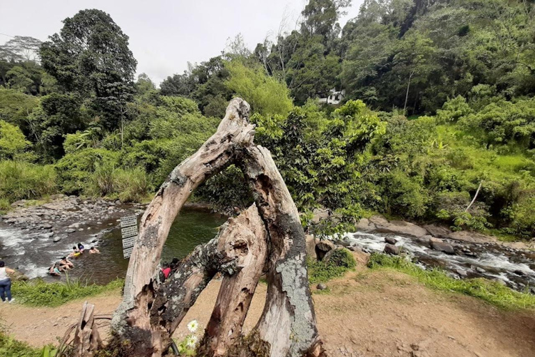 MEDELLIN : VISITE DES JARDINS + ANDES (VUE PANORAMIQUE) + ÉLEVAGE DE TRUITES