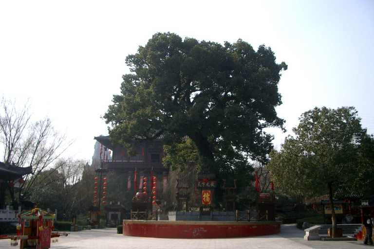 Hangzhou: Song Dynasty Show and Songcheng Scenic Area