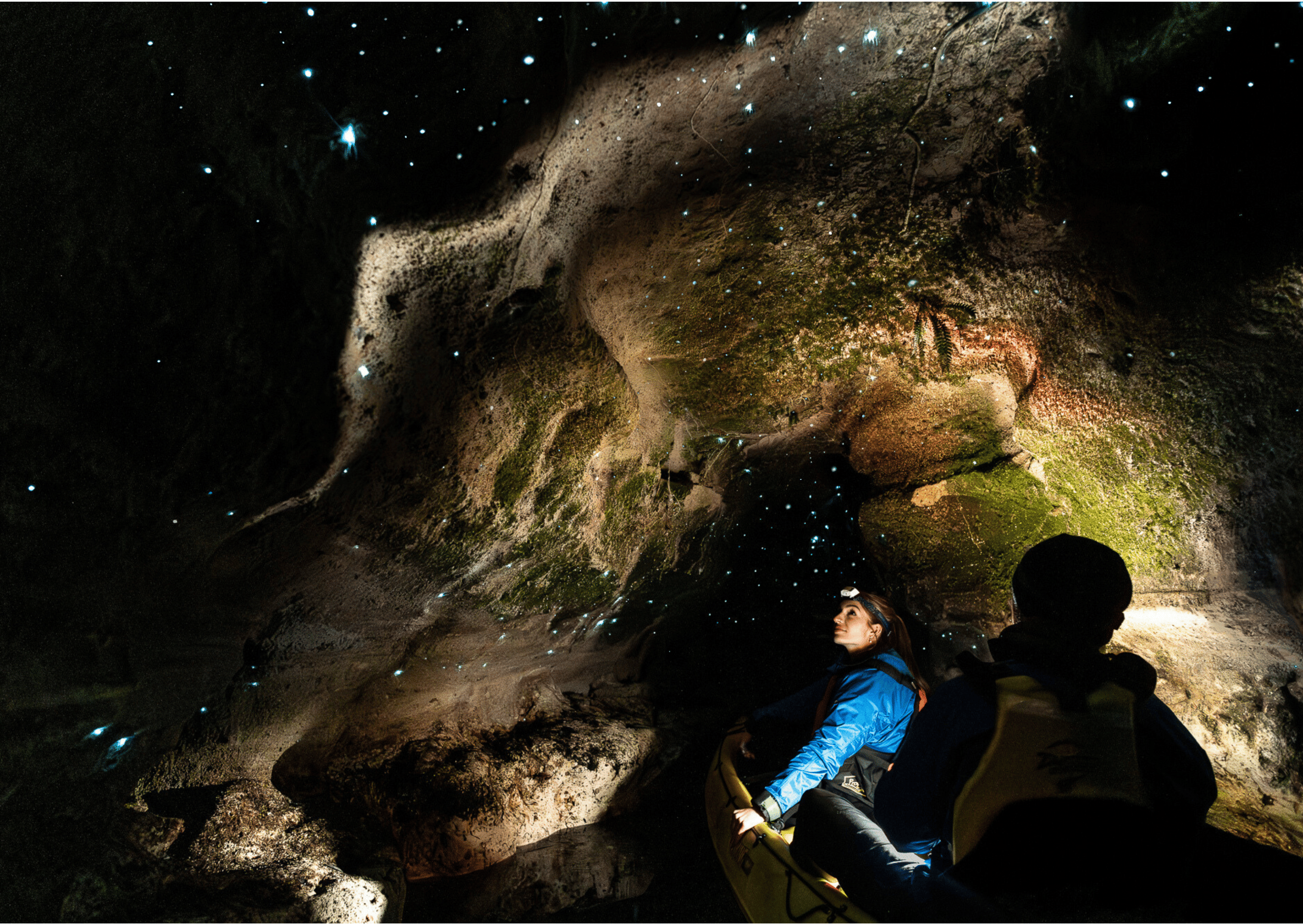 Rotorua: Glühwürmchen Kajak Tour