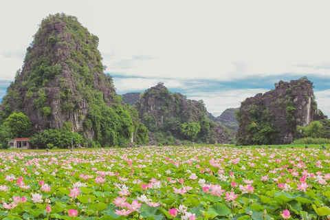 From Hanoi: Ninh Binh – Bai Dinh & Trang An & Mua Cave Tour Group Tour