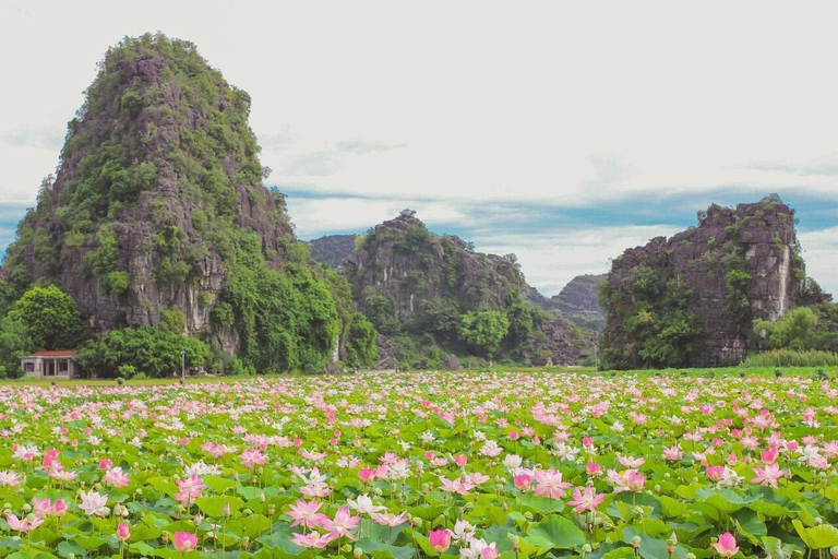 From Hanoi: Ninh Binh – Bai Dinh & Trang An & Mua Cave Tour Private Tour