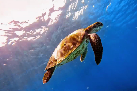 Bali: Passeio de mergulho com snorkel na Lagoa Azul e em Tanjung Jepun