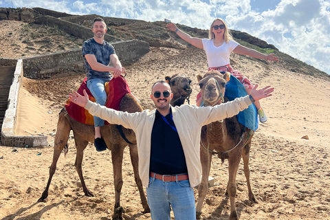Explore Tangier: Guided City Tour and Seaside Camel Ride Pick up from the cruise terminal