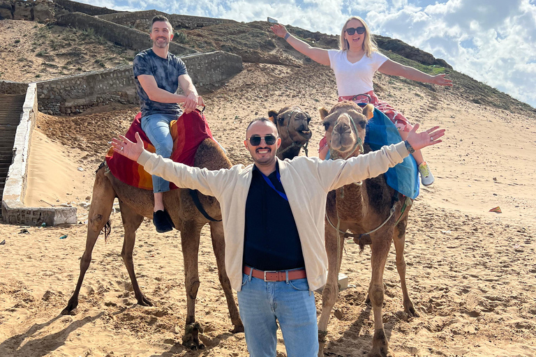 Explore Tangier: Guided City Tour and Seaside Camel Ride Pick up from the cruise terminal