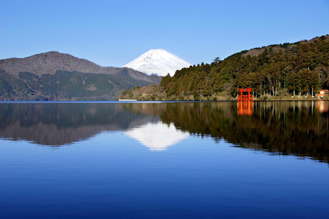 Depuis Tokyo : Excursion privée d&#039;une journée au Mont Fuji et à Hakone