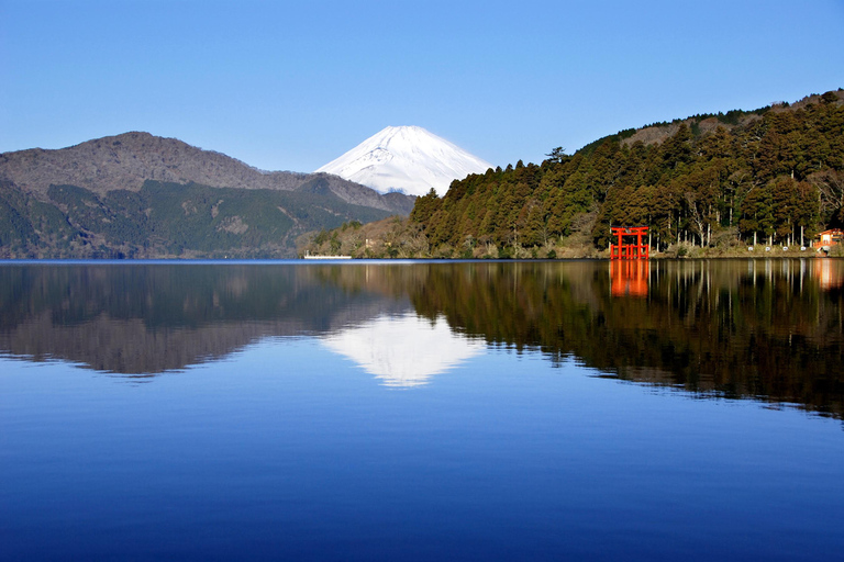 Z Tokio: Prywatna 1-dniowa wycieczka na górę Fuji i do Hakone