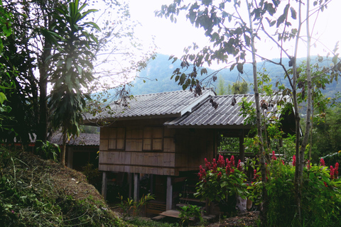 Doi Inthanon & Ang Ka Noi Local Life Tour