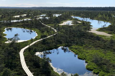 Desde Riga: Jūrmala y el Parque Nacional de Ķemeri con picnic