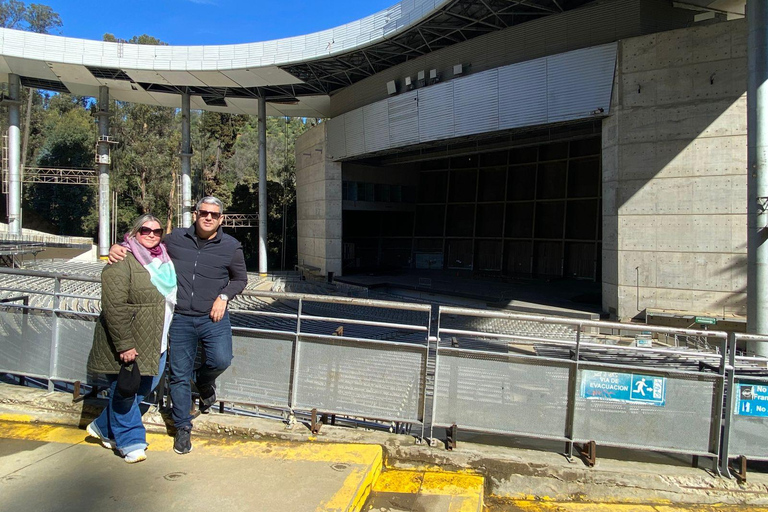 Casablanca: Private Wine Tour at Estancia El Cuadro, Valparaíso, Viña del Mar