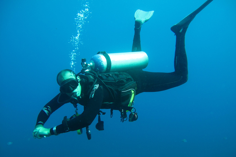 Nurkowanie w Paraty w Ocean Reefs – 45-minutowa wycieczka