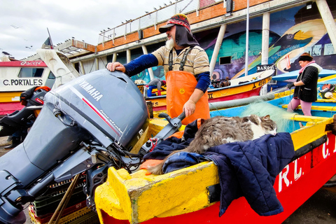 Santiago: Private Transfer To San Antonio via Valparaiso